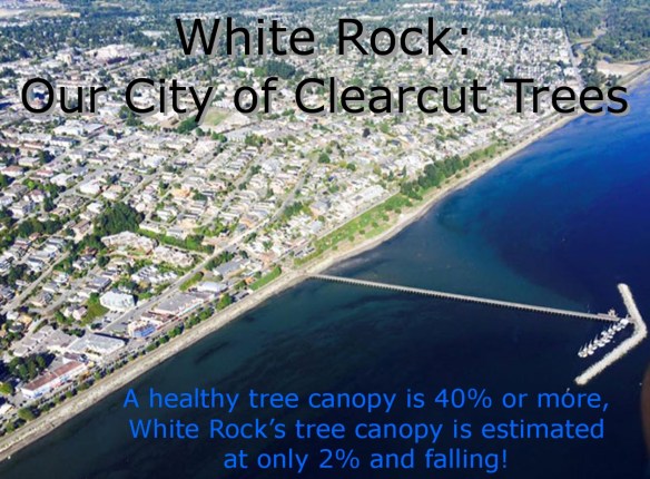 Our City of Clearcut Trees